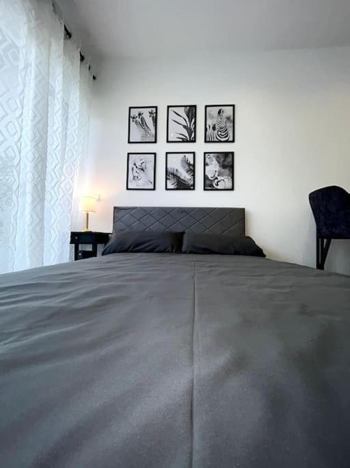 Bahnhofsapartment Loerrach 외부 사진